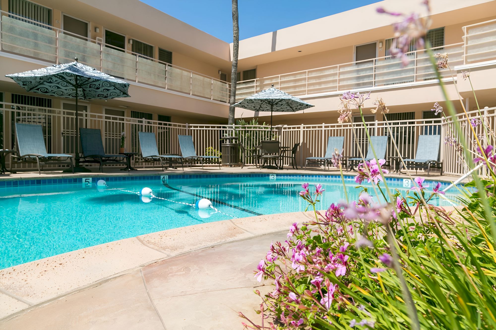 A sunny hotel pool area with clear blue water, lounge chairs, umbrellas, and a surrounding white building; pink flowers in the foreground.