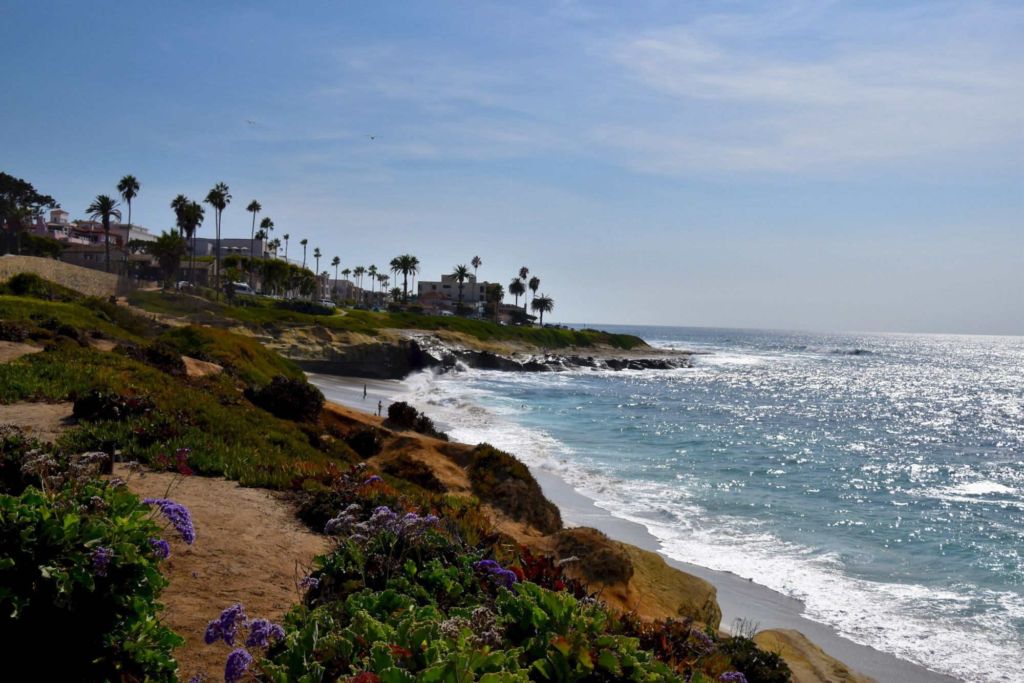 A coastal bluff with rocky shoreline, palm trees, and a clear blue sky overlooking shimmering ocean waves.