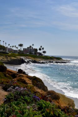 Coastline with rocky shore, blue ocean, gentle waves, and palm-lined cliffside houses under a sunny sky, peaceful seaside landscape.