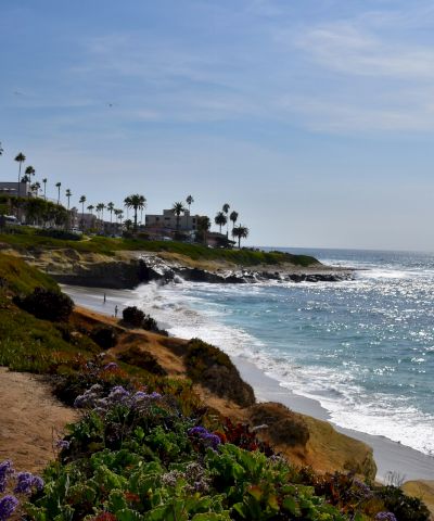 Coastline with rocky shore, blue ocean, gentle waves, and palm-lined cliffside houses under a sunny sky, peaceful seaside landscape.