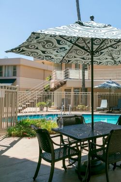 A sunny hotel pool area with lounge chairs, umbrellas, and a table set on a patio surrounding a sparkling blue pool.