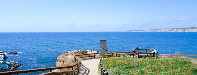 A wooden boardwalk along a cliff edge leads to a viewing area overlooking a blue sea and distant horizon.